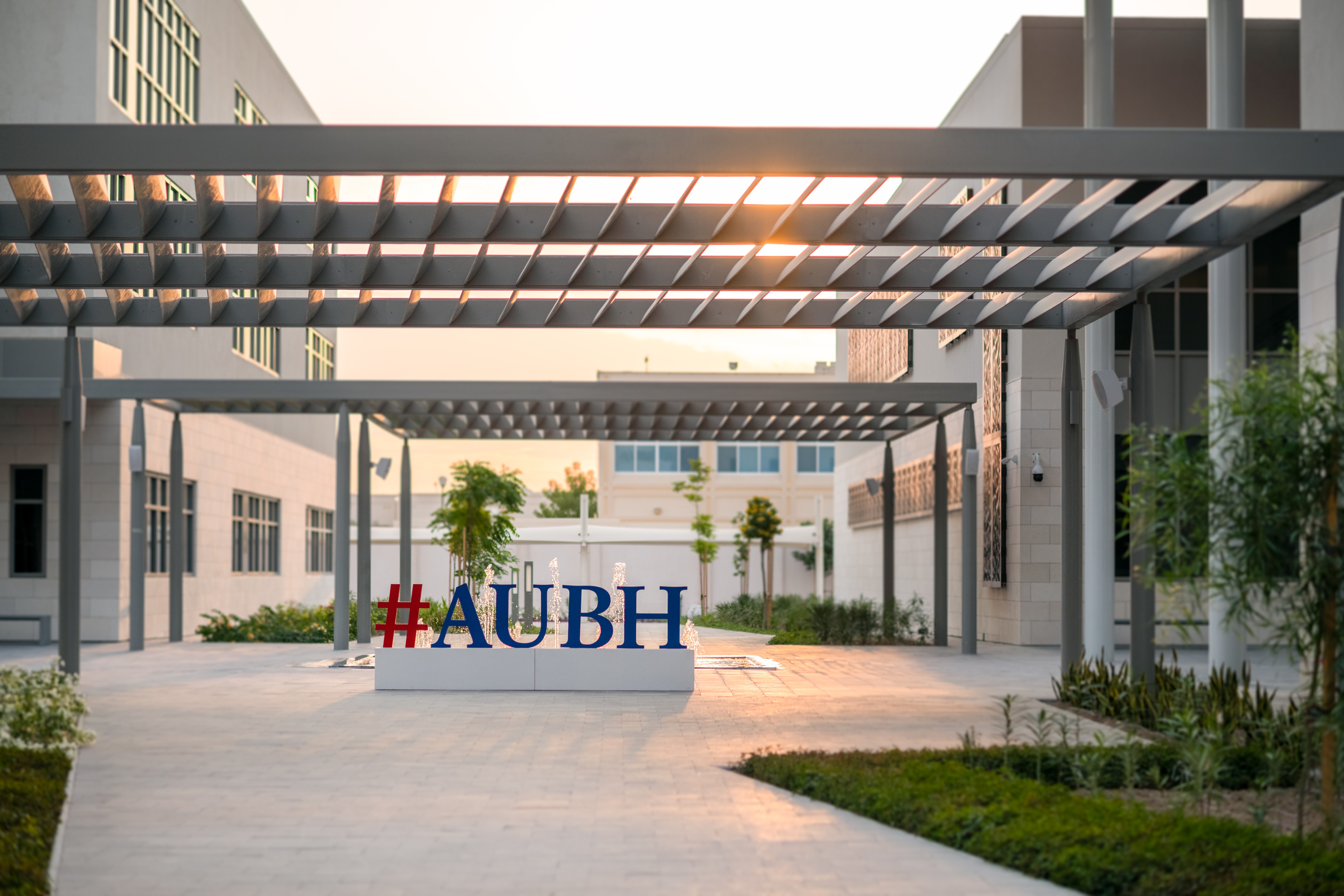 University Image